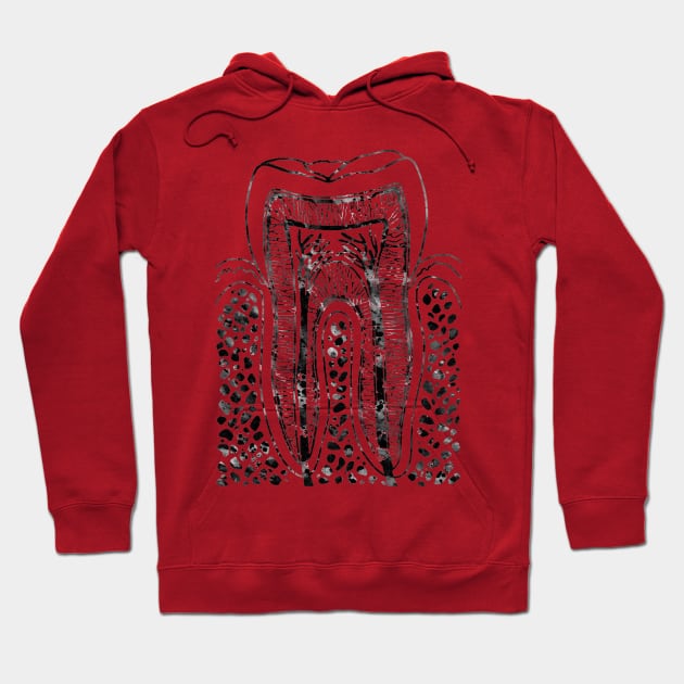 Tooth Structure Hoodie by erzebeth